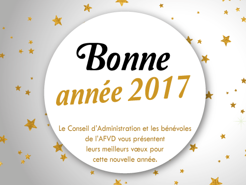 meilleurs-voeux-pour-2017