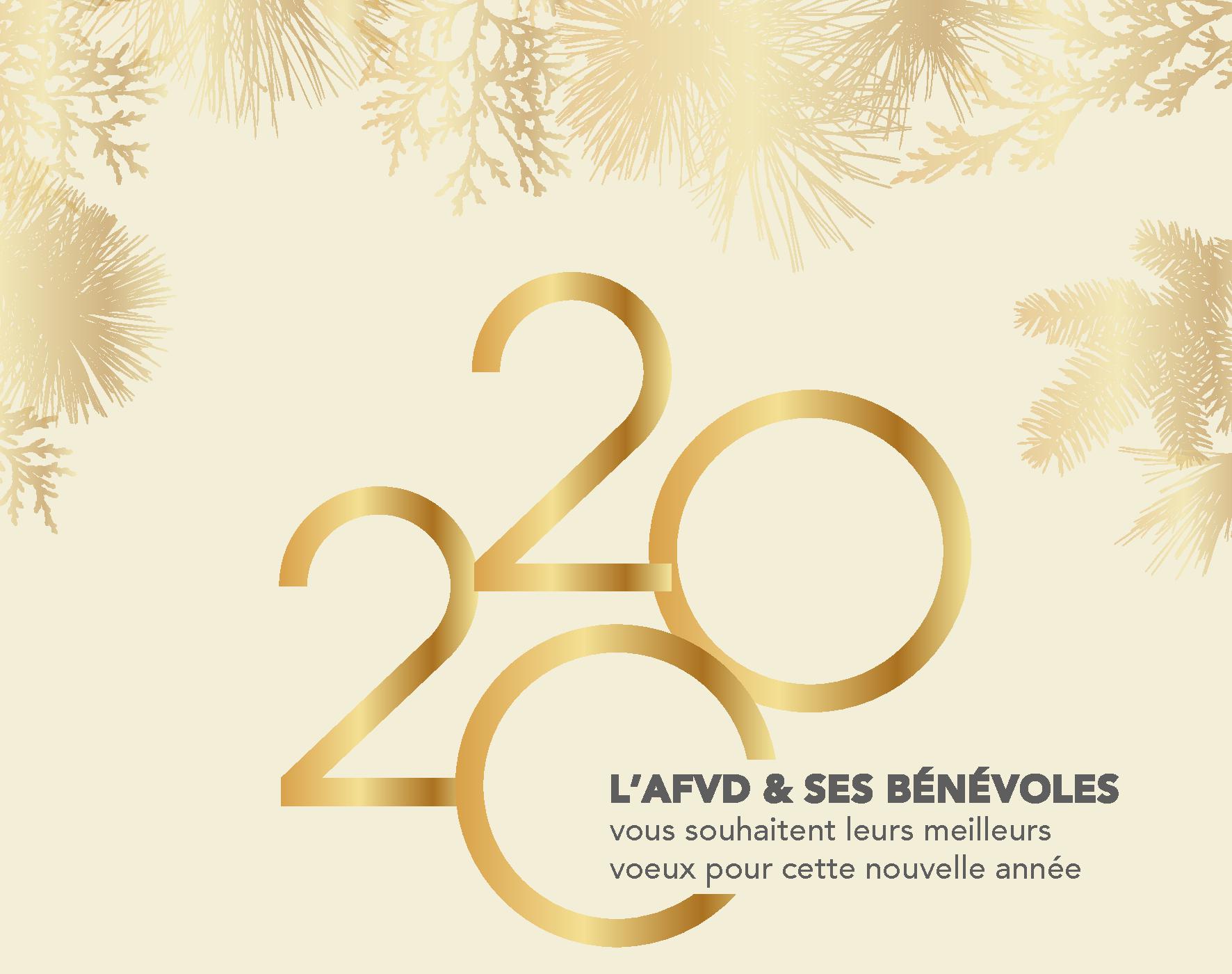 voeux-de-l-afvd