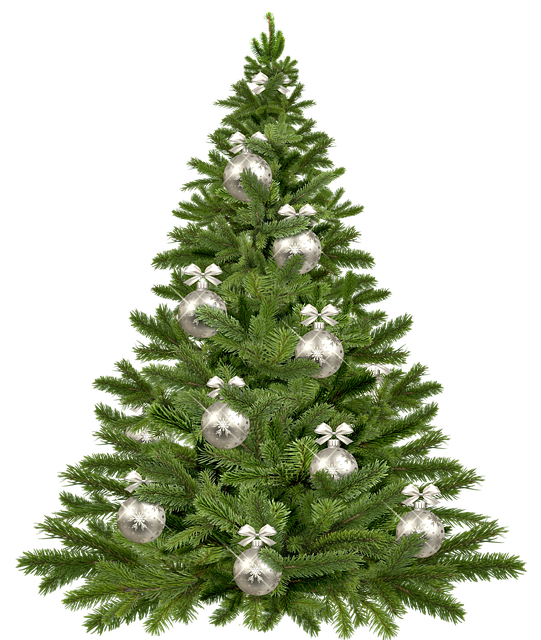 christmas tree 1853582 640
